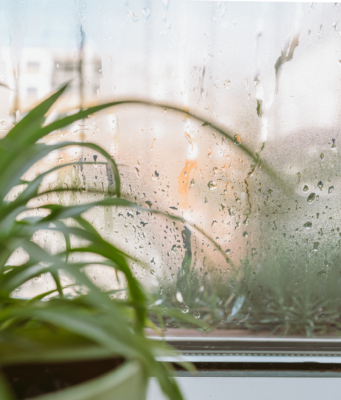 Koliko vas v resnici stane vlaga v stanovanju? Vlaga